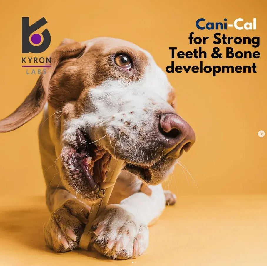 CANI-CAL CALCIUM SUPPLEMENT 250G KYRON LABS