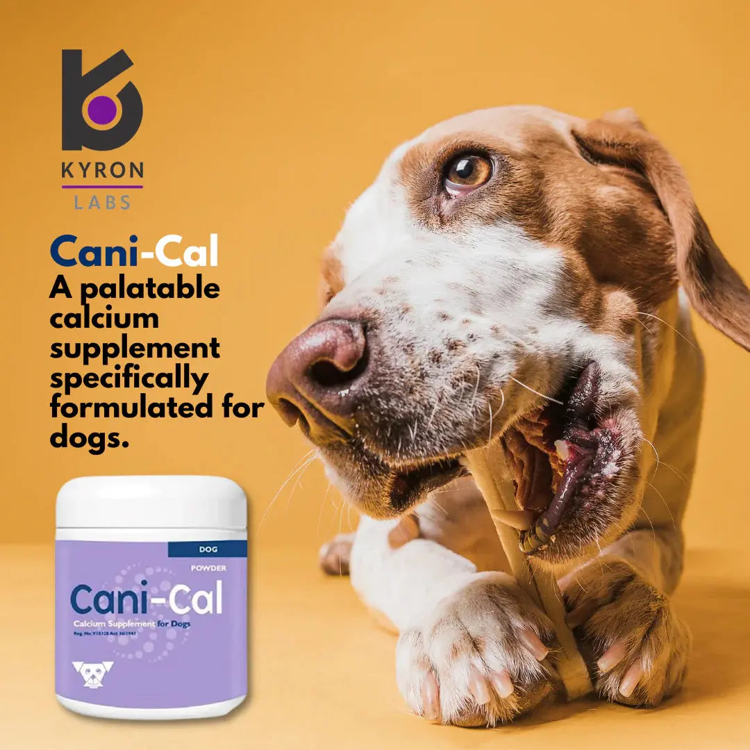 CANI-CAL CALCIUM SUPPLEMENT 250G KYRON LABS
