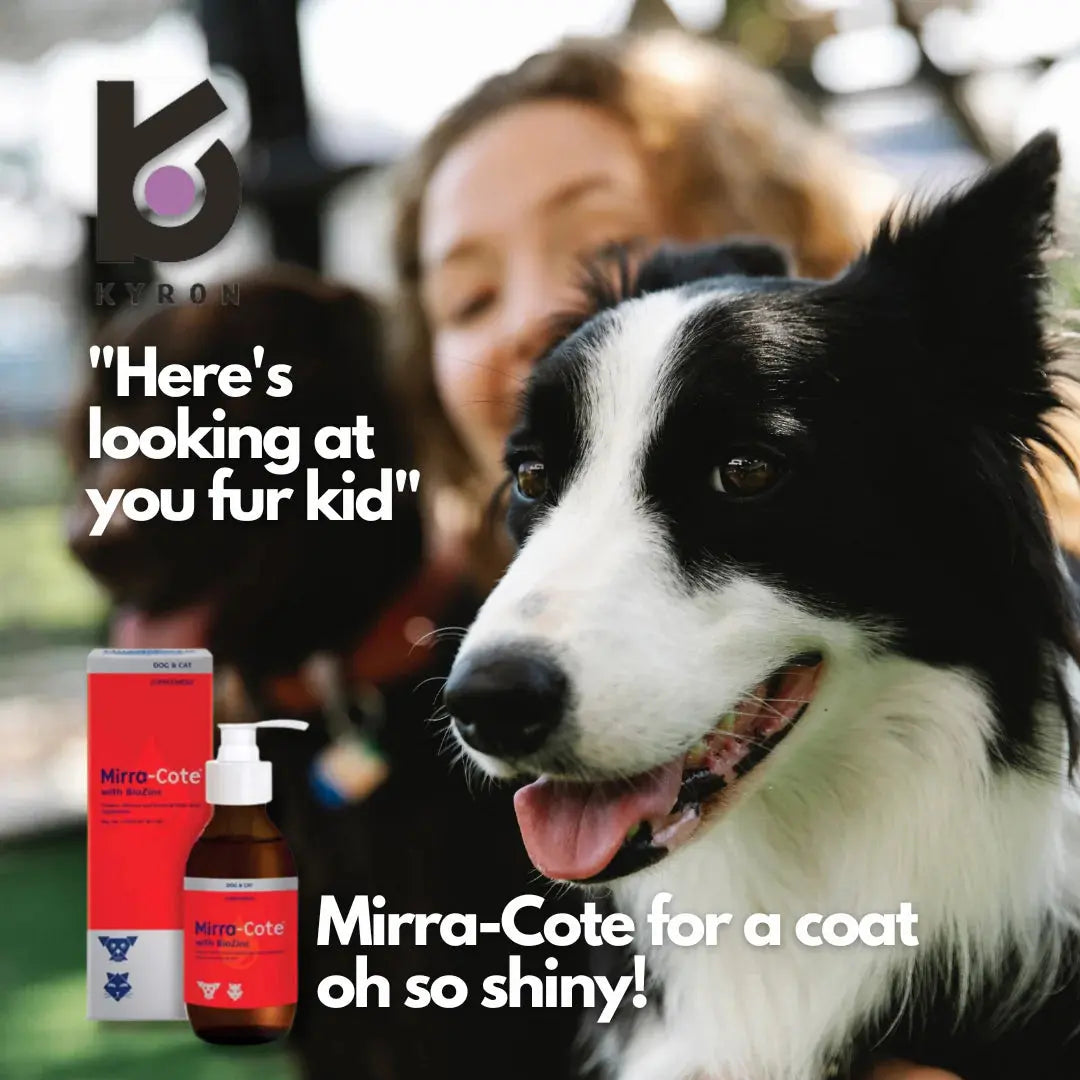 MIRRA-COTTE WITH BIOZINC DIETARY SUPPLEMENT MIRRA-COTTE