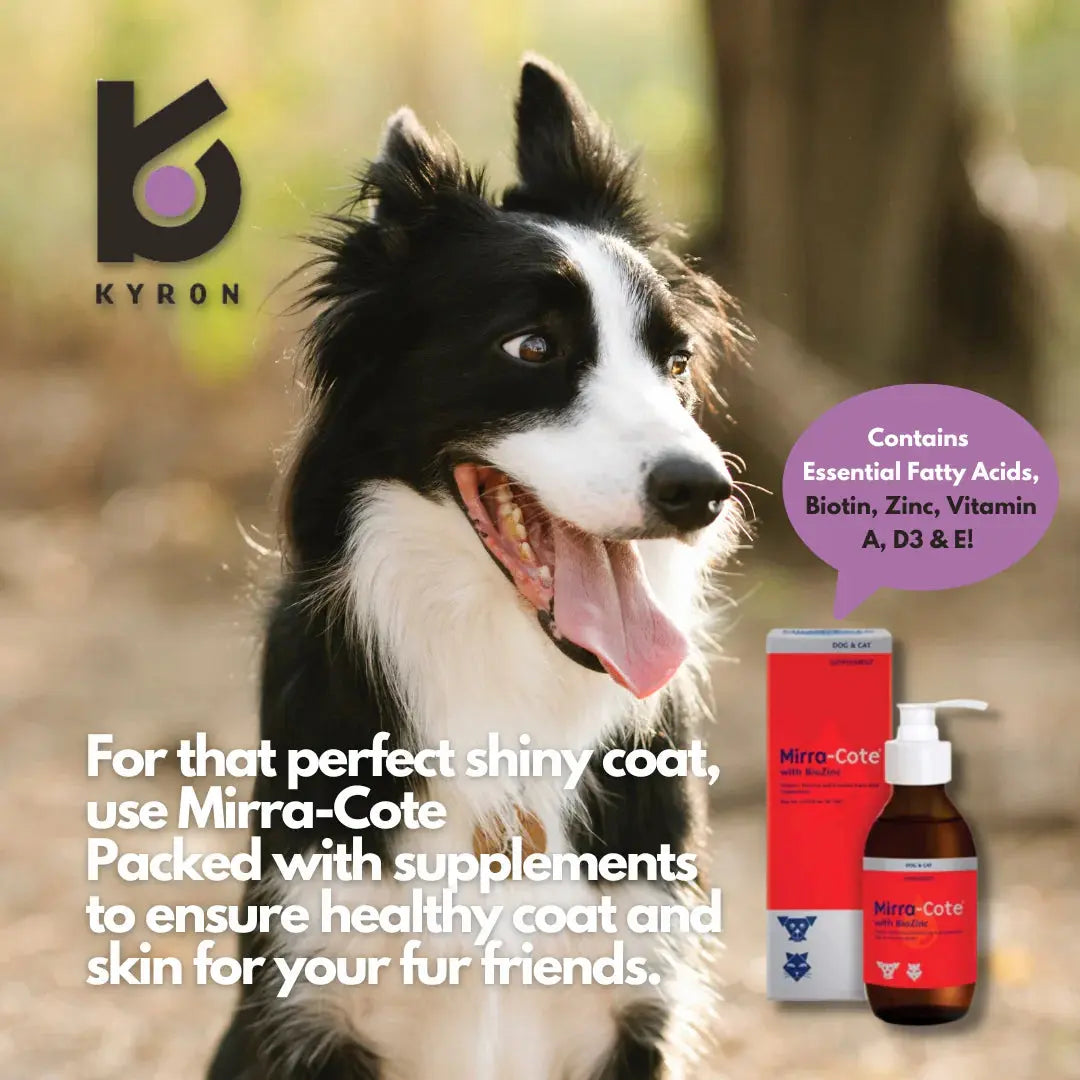 MIRRA-COTTE WITH BIOZINC DIETARY SUPPLEMENT MIRRA-COTTE