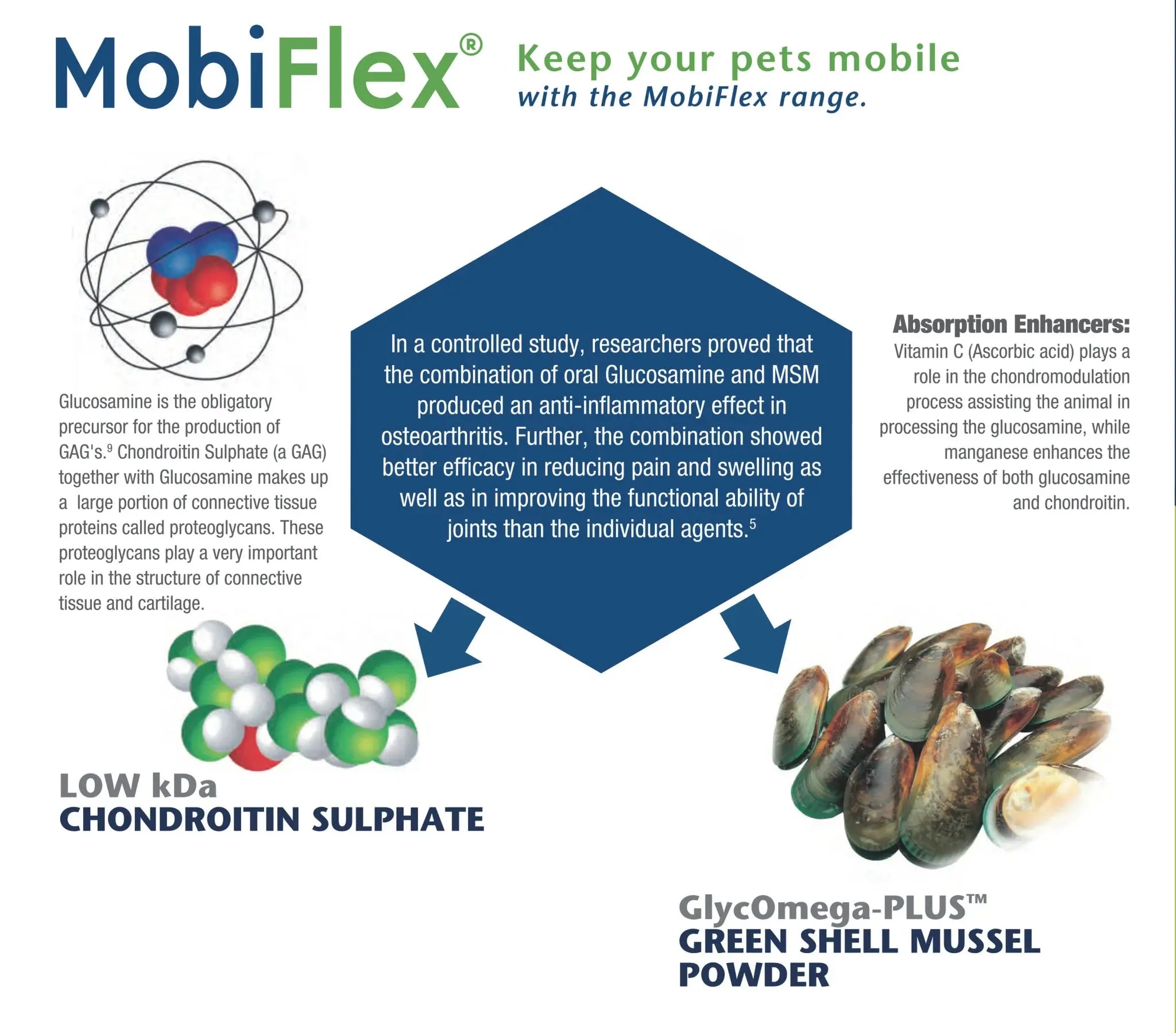 MOBIFLEX MOBILITY SUPPLEMENT 250G KYRON LABS