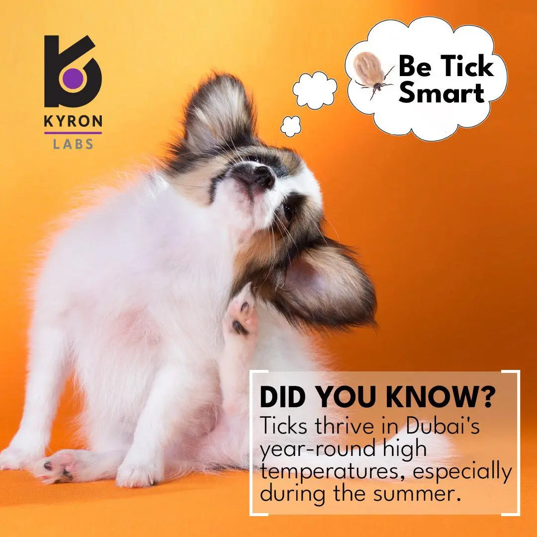 ULTRUM PLUS SHAMPOO 250ML KYRON LABS