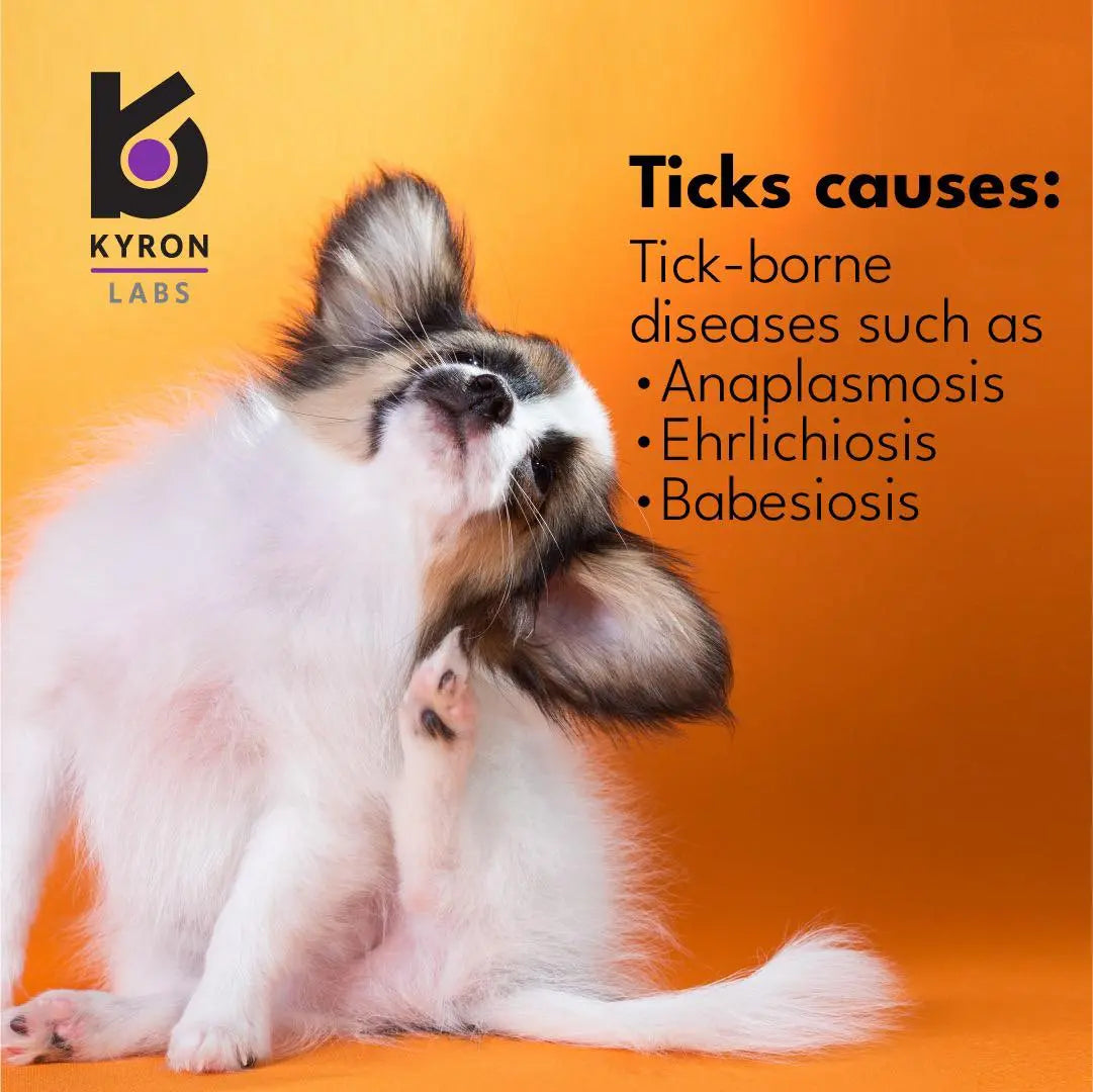 ULTRUM PLUS SHAMPOO 250ML KYRON LABS