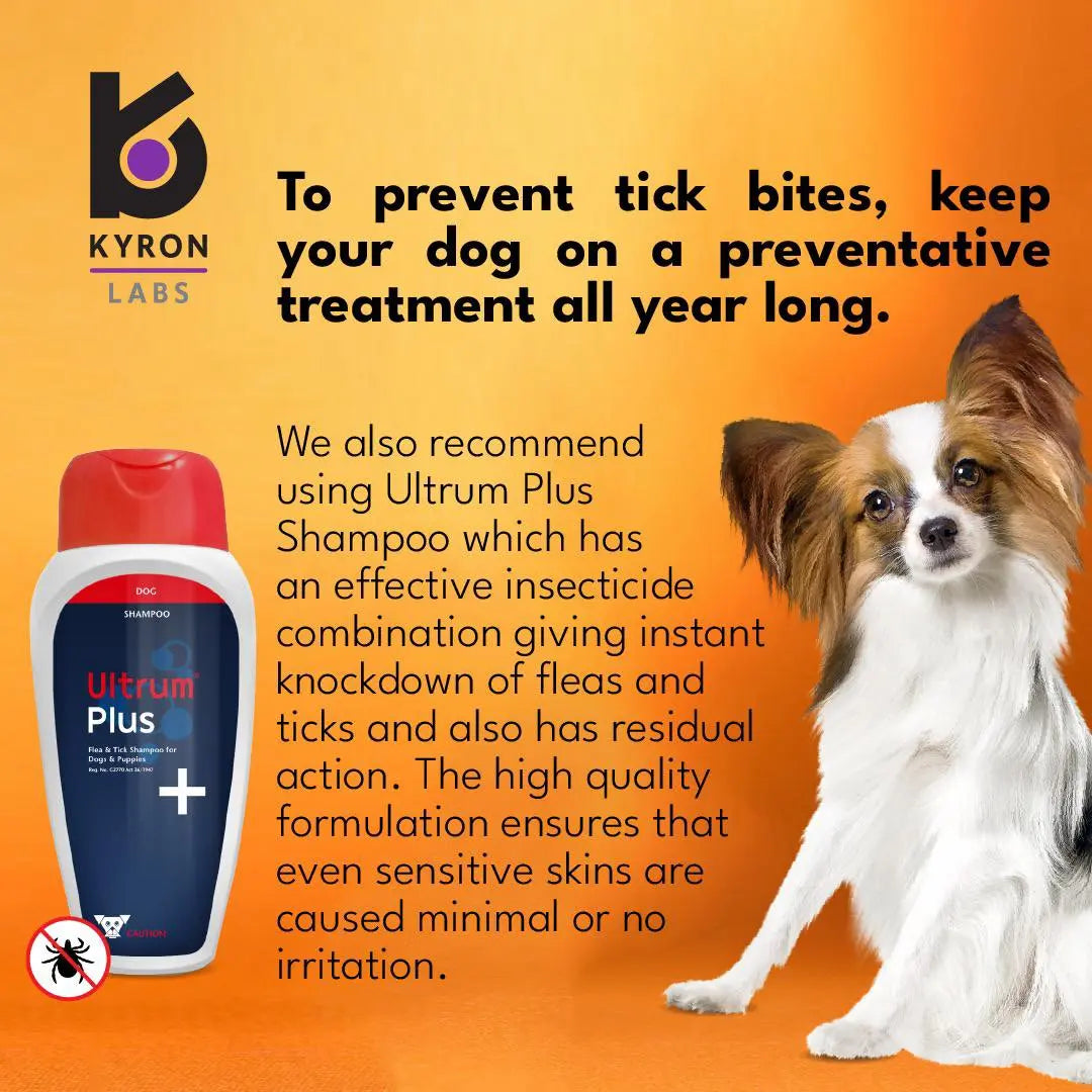 ULTRUM PLUS SHAMPOO 250ML KYRON LABS