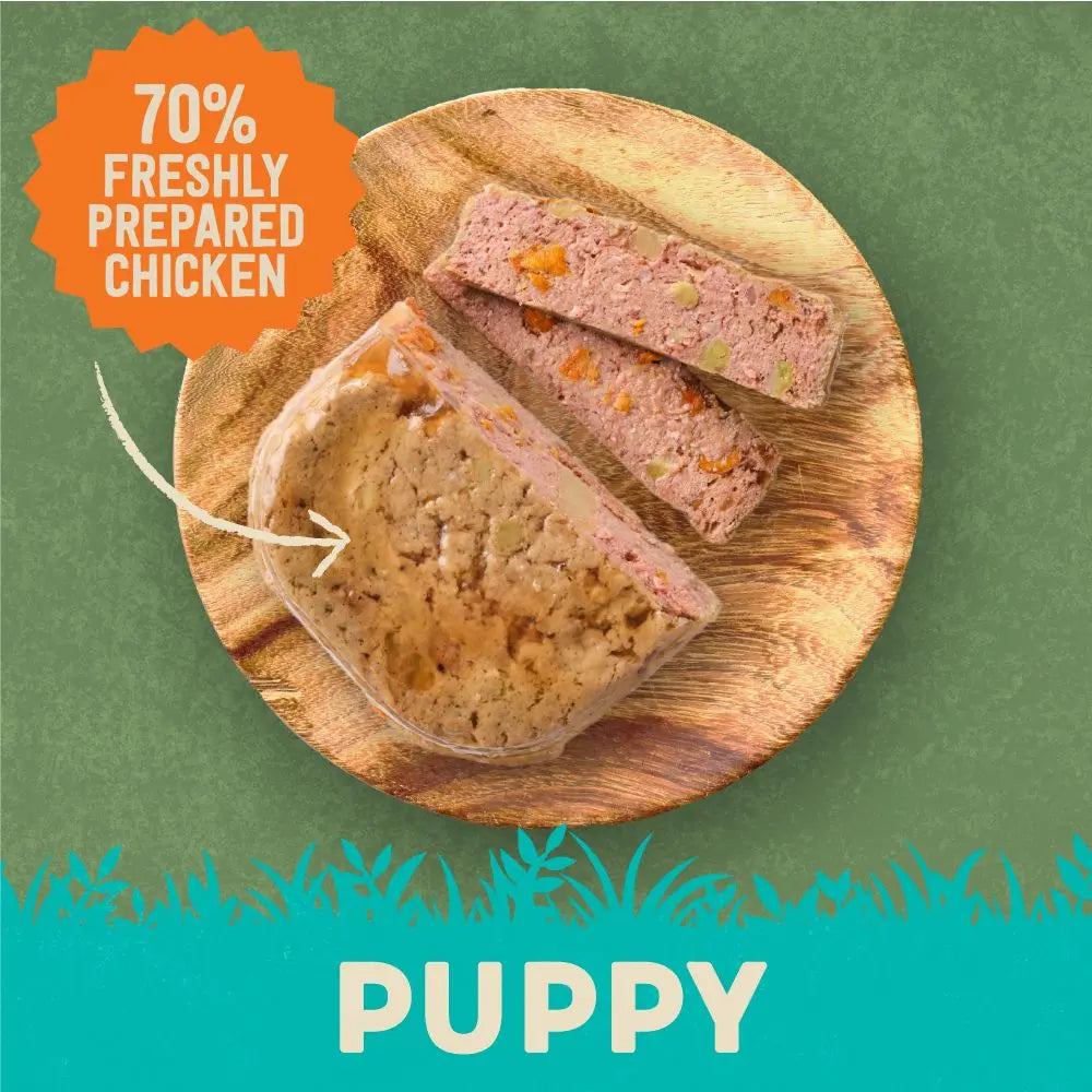 HARRINGTONS CHICKEN & POTATO GRAIN FREE WET PUPPY FOOD 380G HARRINGTONS