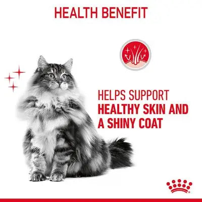 ROYAL CANIN FELINE CARE NUTRITION HAIR & SKIN GRAVY (INTENSE BEAUTY) WET CAT FOOD POUCH, 85g Royal Canin