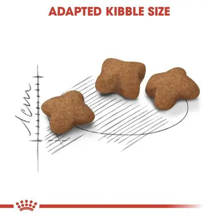 ROYAL CANIN FELINE HEALTH NUTRITION KITTEN STERILISED CAT FOOD 2 KG Royal Canin