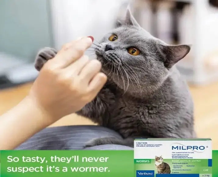 Milpro Deworming for Cats 0.5-2 kg (4mg/10mg) VIRBAC