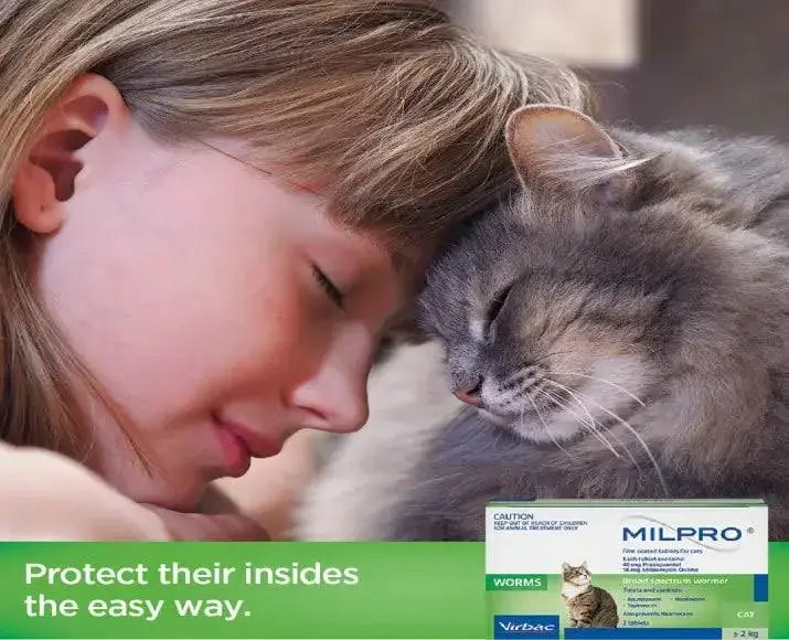 Milpro Deworming for Cats 0.5-2 kg (4mg/10mg) VIRBAC