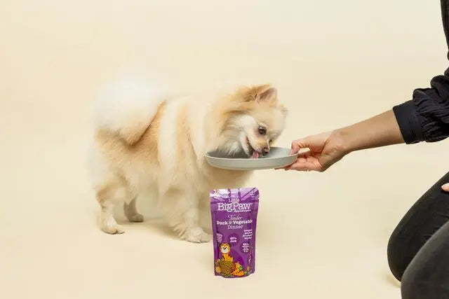 LITTLE BIGPAW TENDER DUCK & VEGETABLE DINNER WET DOG FOOD LITTLE BIGPAW