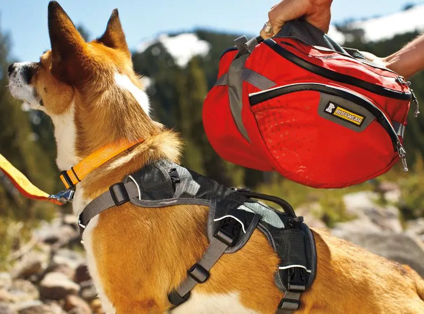 RUFFWEAR PALISADES MULTI-DAY DOG BACKPACK RUFFWEAR