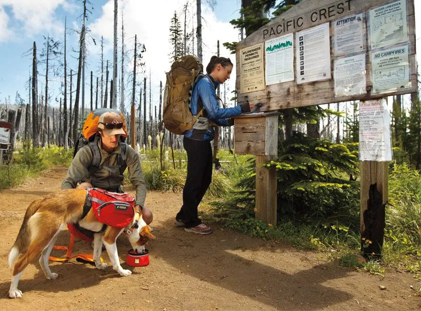 RUFFWEAR PALISADES MULTI-DAY DOG BACKPACK RUFFWEAR