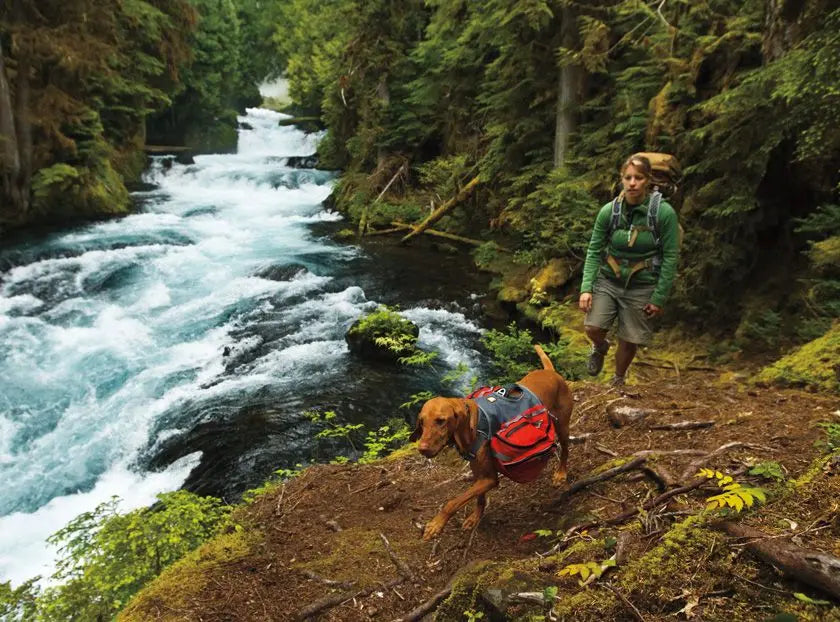 RUFFWEAR PALISADES MULTI-DAY DOG BACKPACK RUFFWEAR