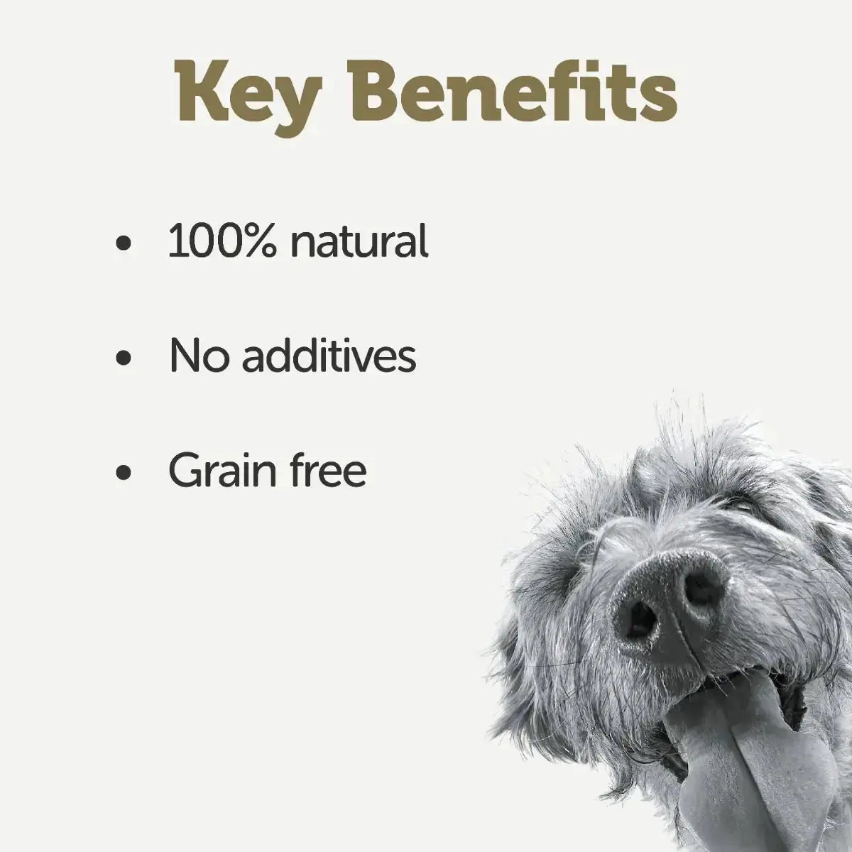 APPLAWS TASTE TOPPERS STEW WET DOG FOOD 156G TIN APPLAWS