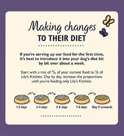 LILY'S KITCHEN ADULT 8+ SENIOR RECIPE TURKEY, TROUT AND SEASONAL WHITE FISH DRY DOG FOOD LILY'S KITCHEN