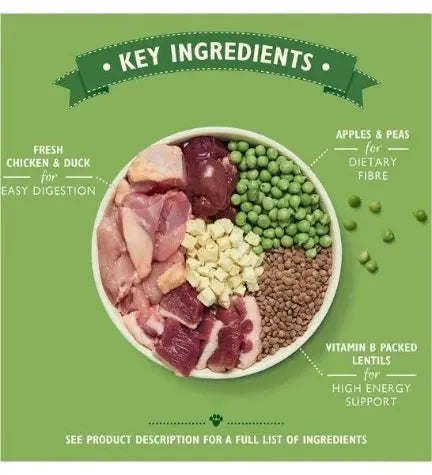 LILY'S KITCHEN COUNTRYSIDE CASSEROLE WITH CHICKEN,DUCK&SWEET POTATOES ADULT DRY DOG FOOD LILY'S KITCHEN